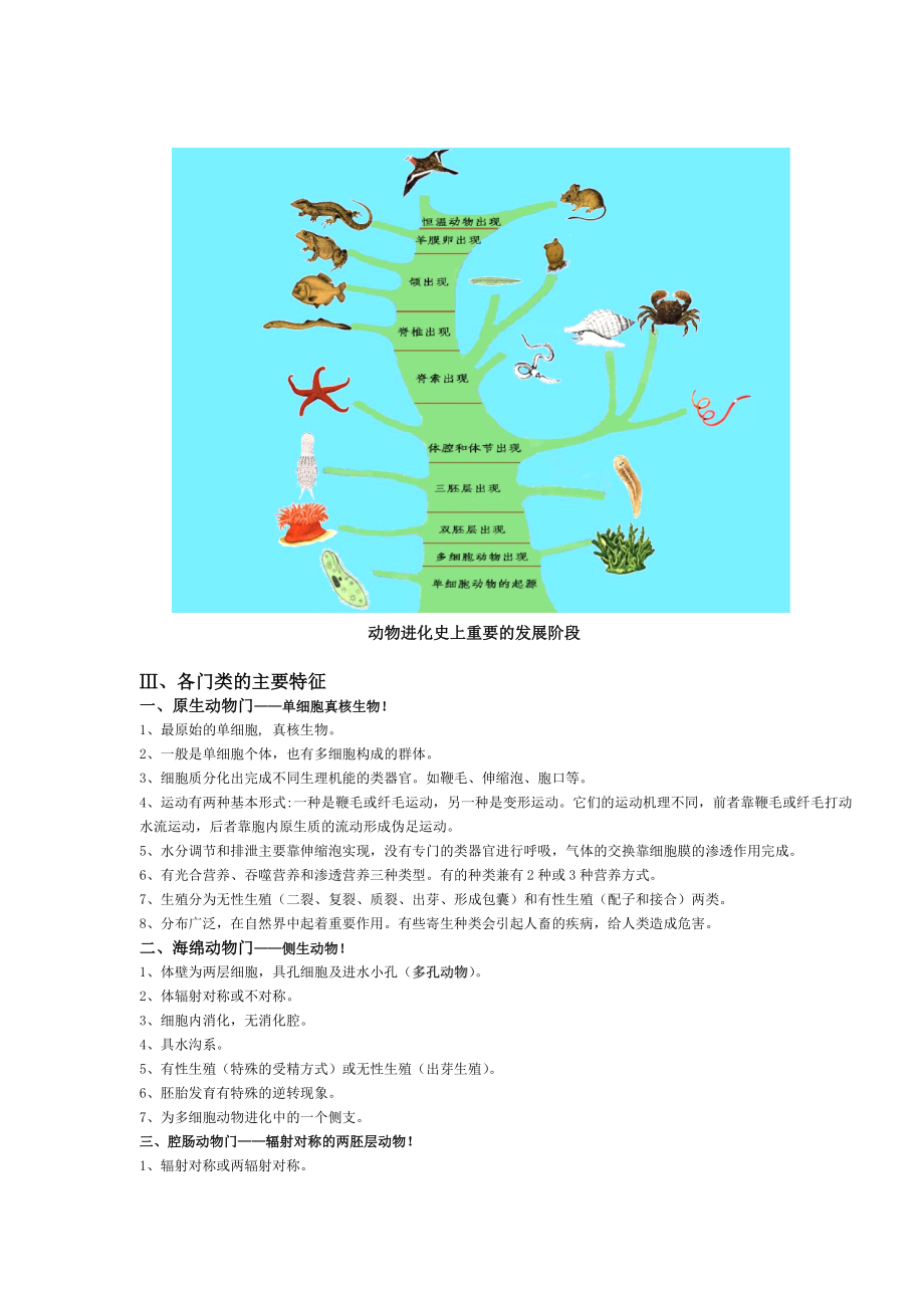 动物学知识点总结(全).doc