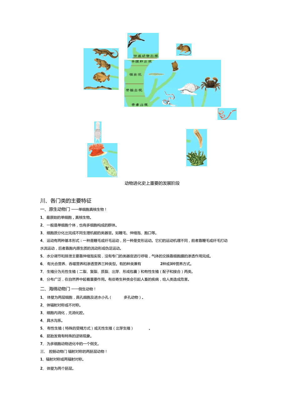 动物学知识点总结全.doc