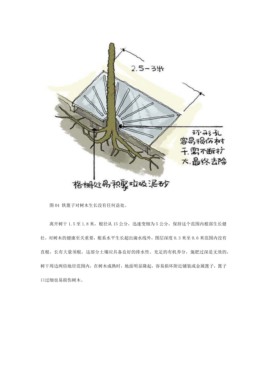 园林规划中乔木的种植技术和种植技巧分析.doc