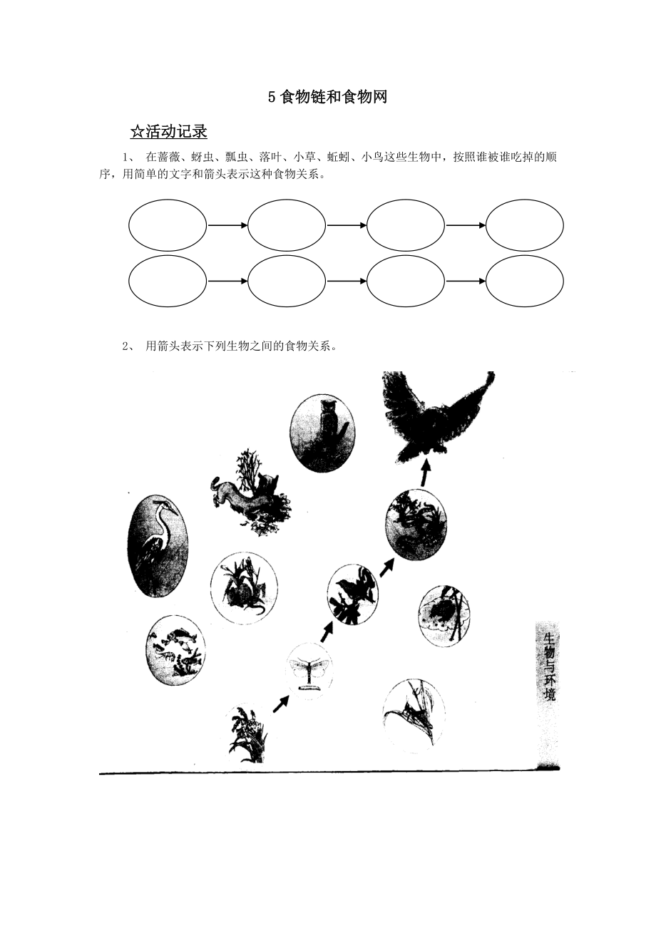 五年级科学上作业本.doc