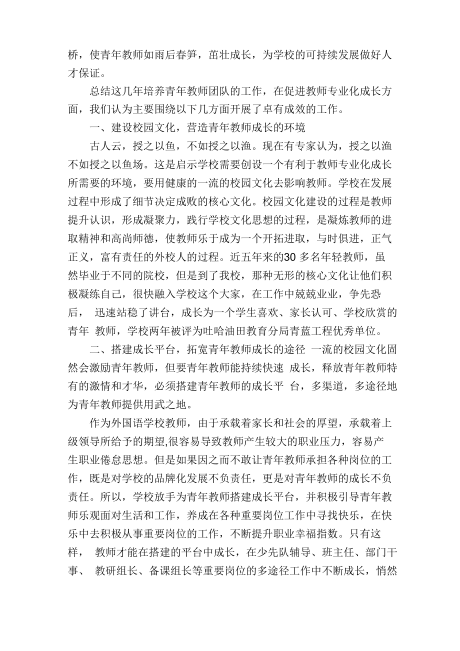 青年教师个人发展总结.doc