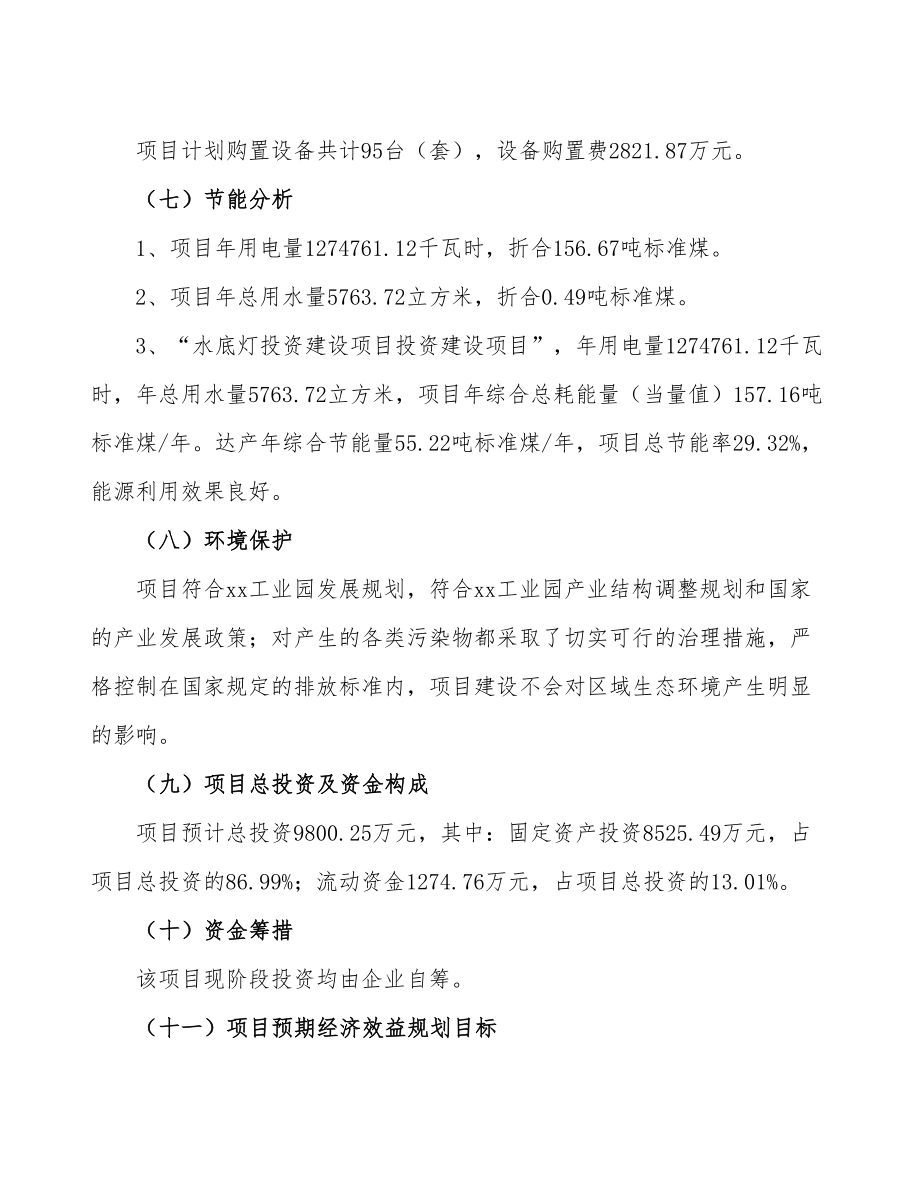 立项水底灯投资建设项目计划书.doc