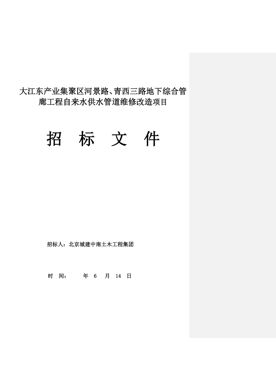 自来水供水管道维修改造项目招标文件.doc