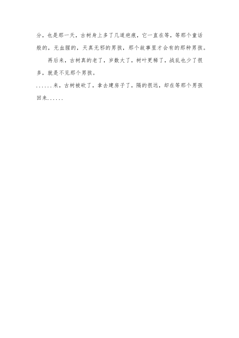 古树作文300字优秀.doc