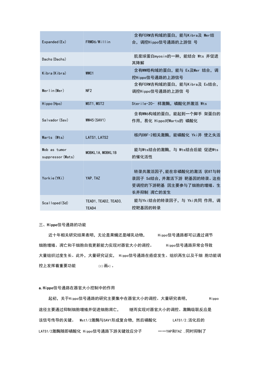 【信号通路解析】Hippo信号通路.doc