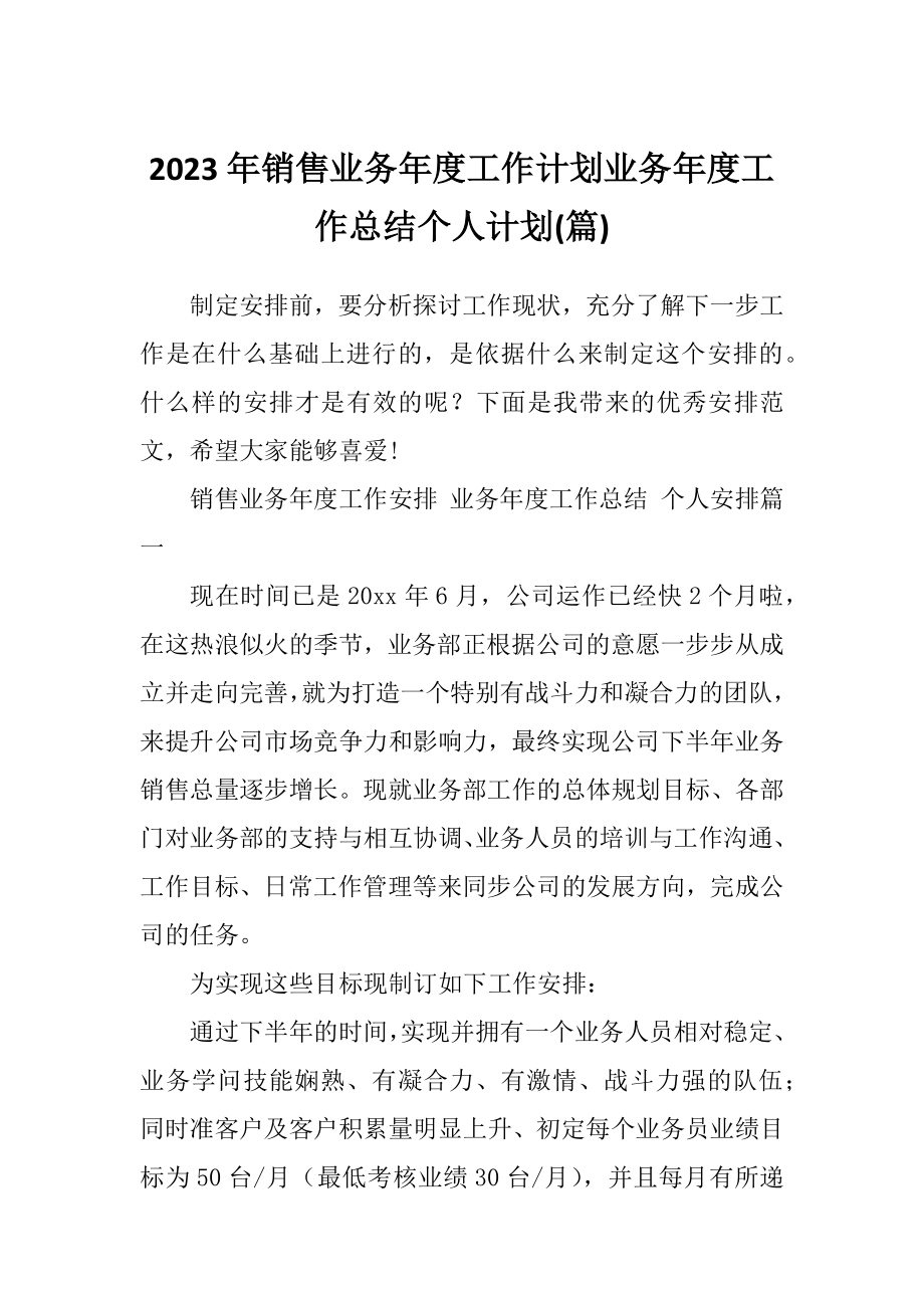 2023年销售业务年度工作计划业务年度工作总结个人计划(篇).doc