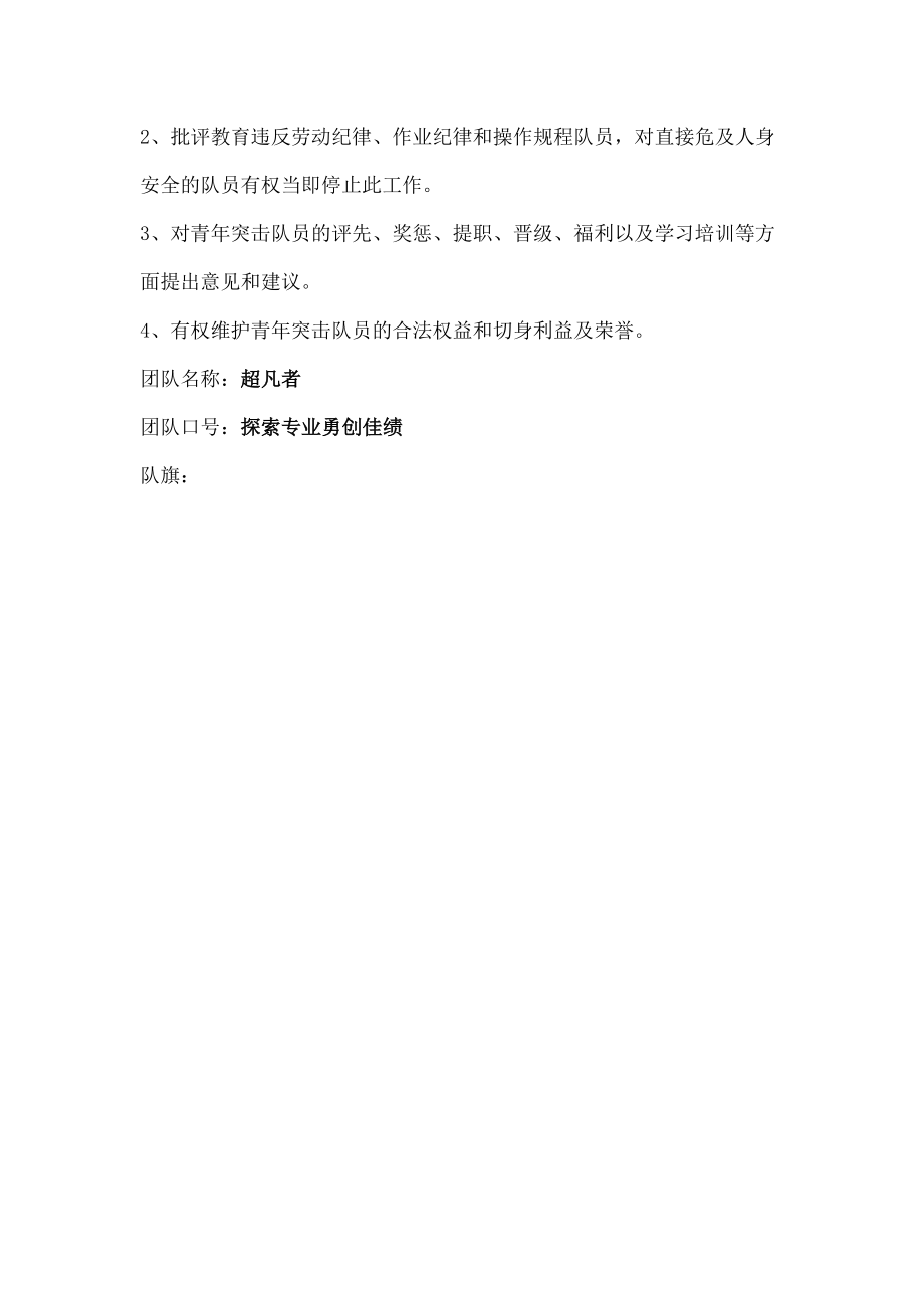 公司青年突击队活动方案.doc