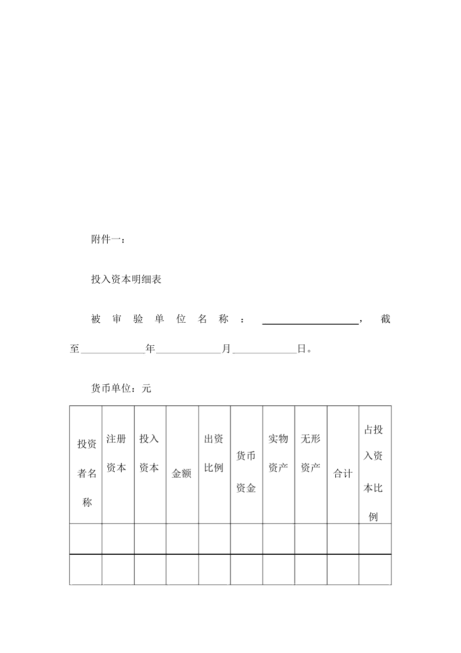 公司验资报告.doc