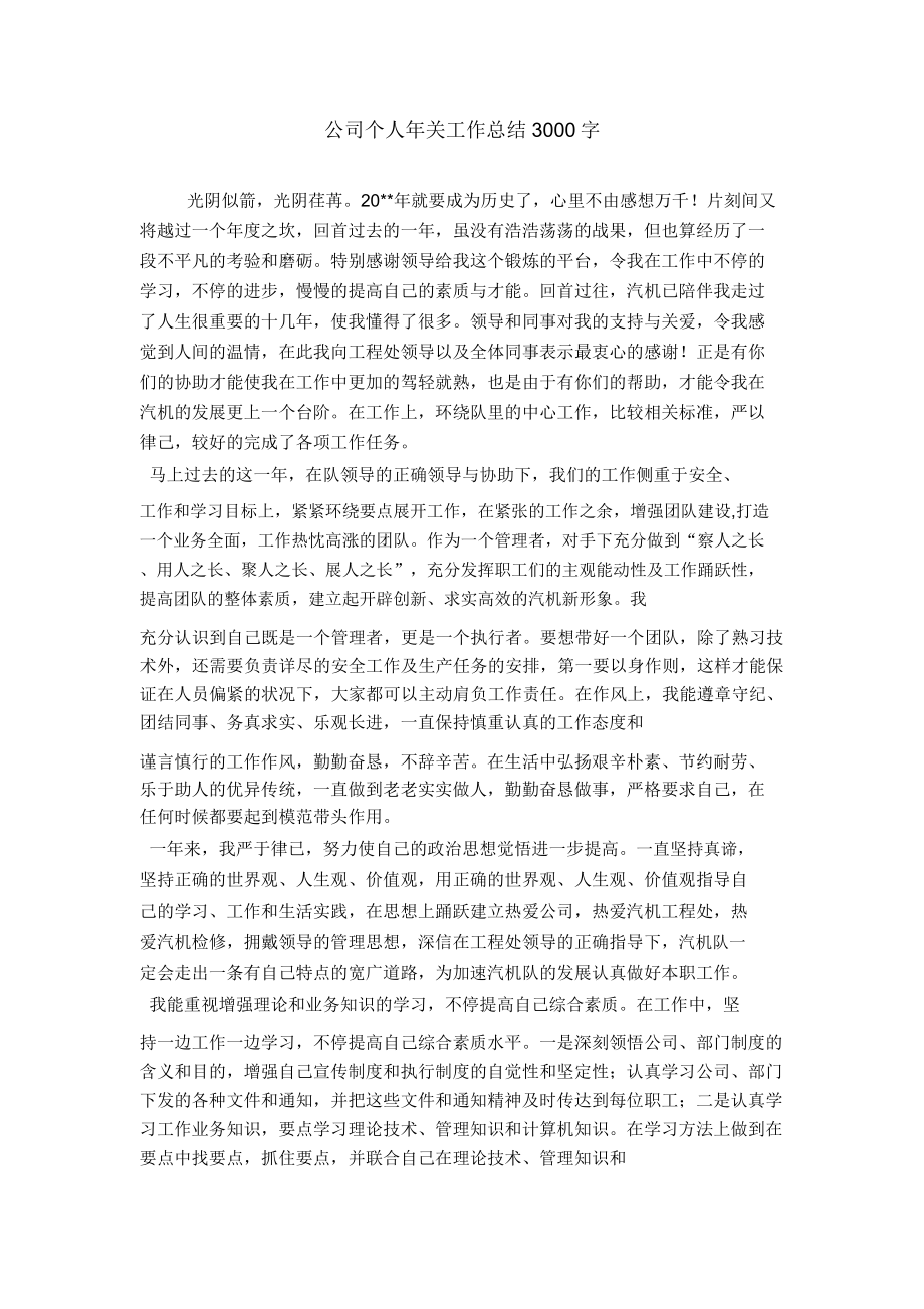 公司个人年终工作总结3000字.doc