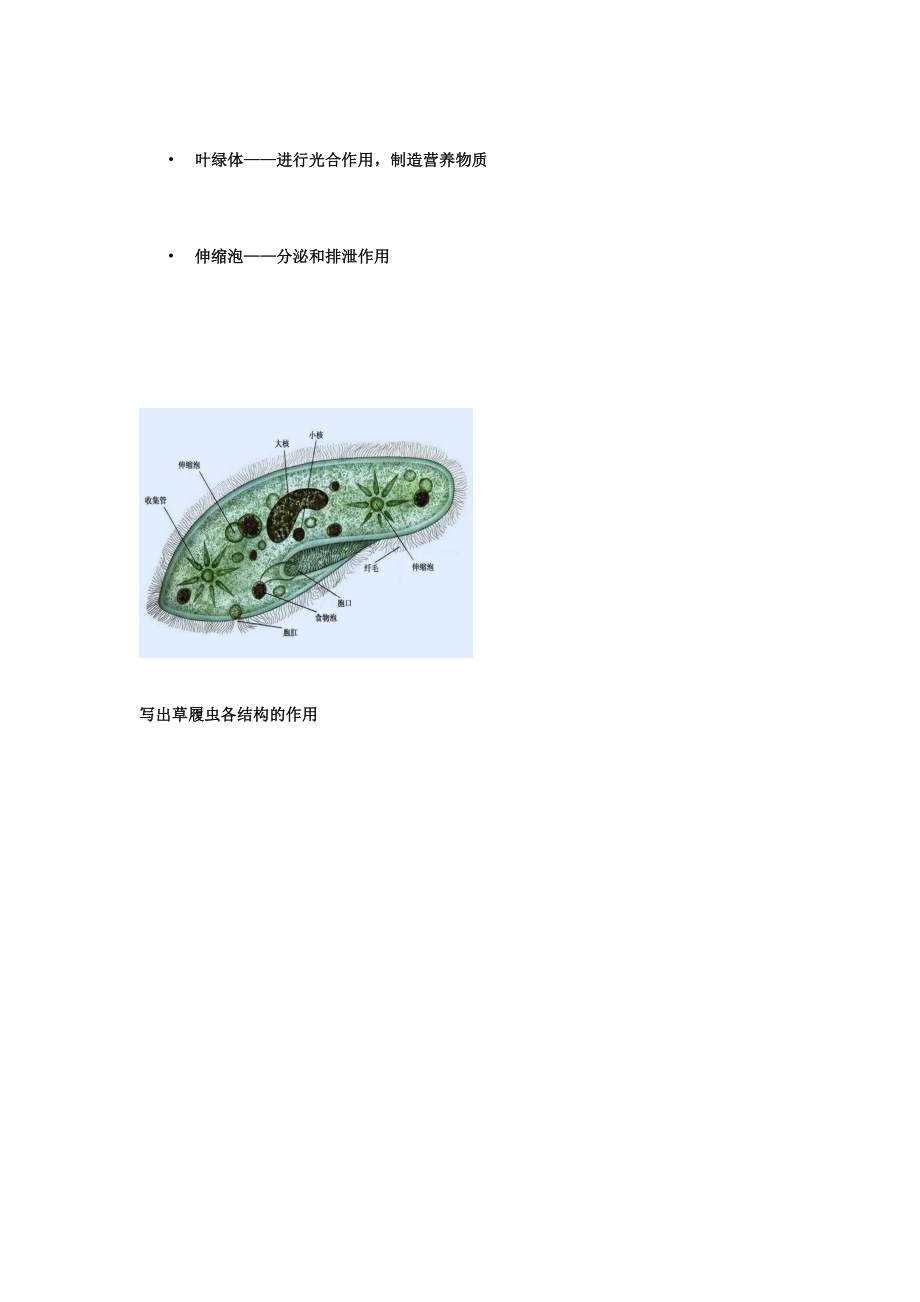 新浙教版七年级上科学2.6物种的多样性知识点.doc