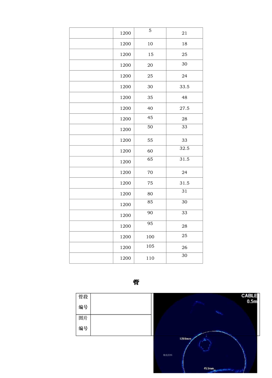 管道声纳检测报告模板.doc