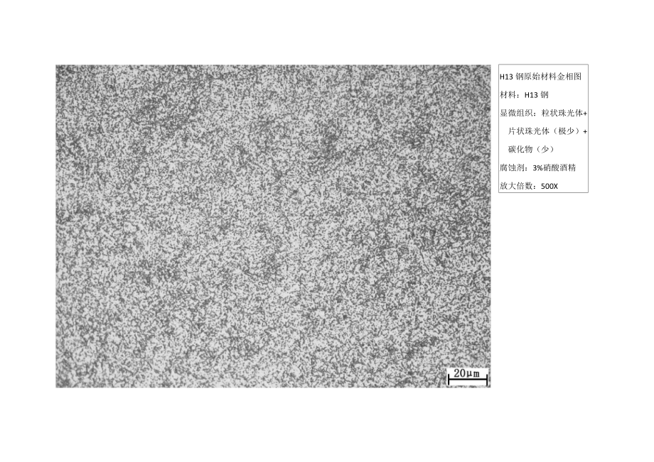 H13钢金相图谱.doc