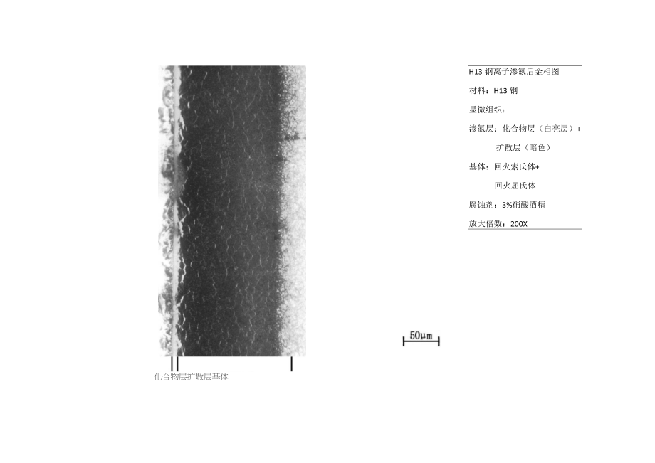 H13钢金相图谱.doc