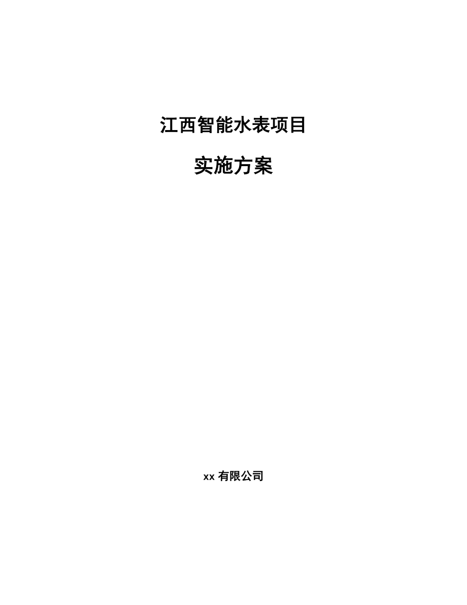 江西智能水表项目实施方案（模板）.doc