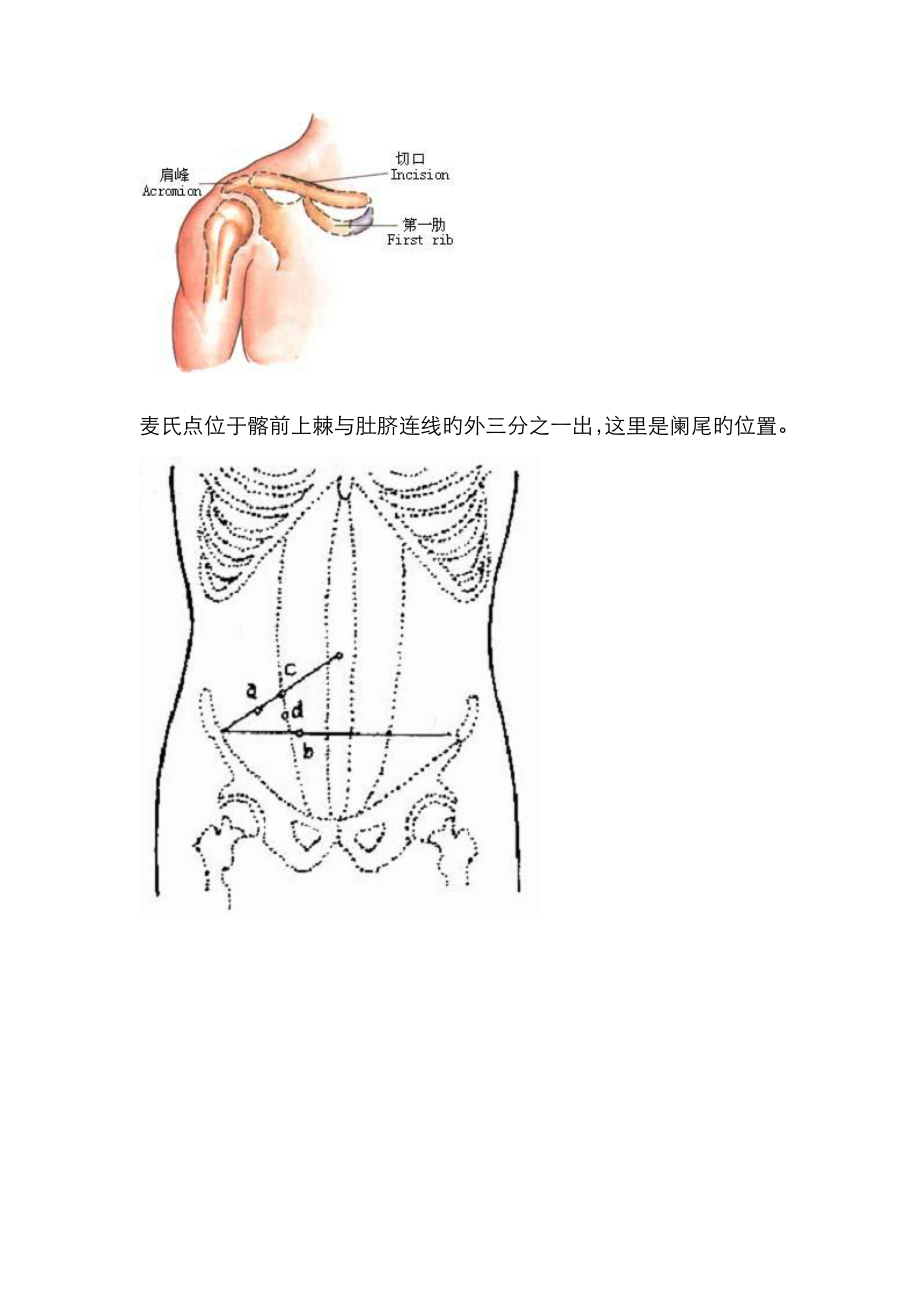 四肢长度及周径测量.doc