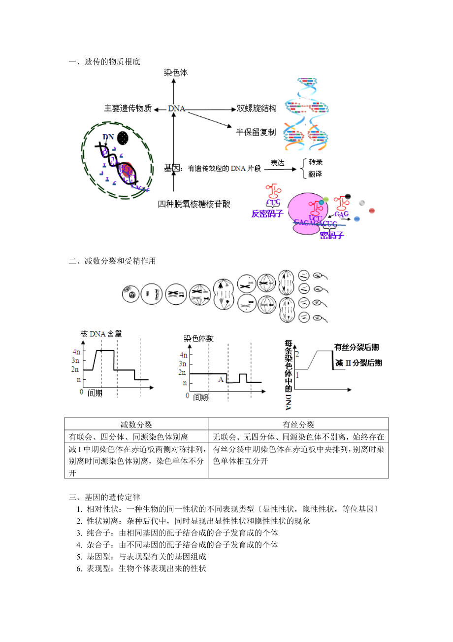 高一生物必修二复习内容及典型例题.doc