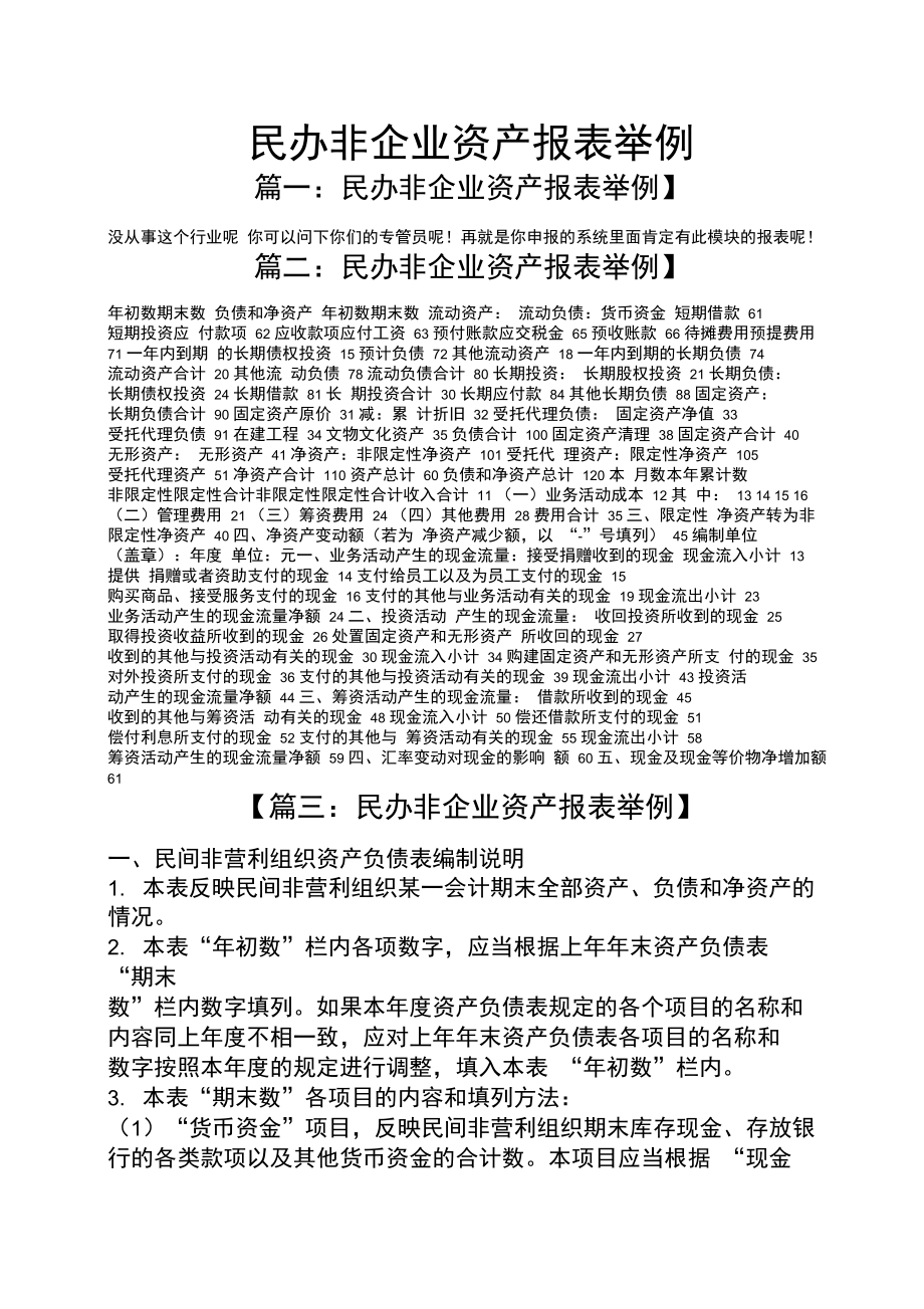 民办非企业资产报表举例.doc