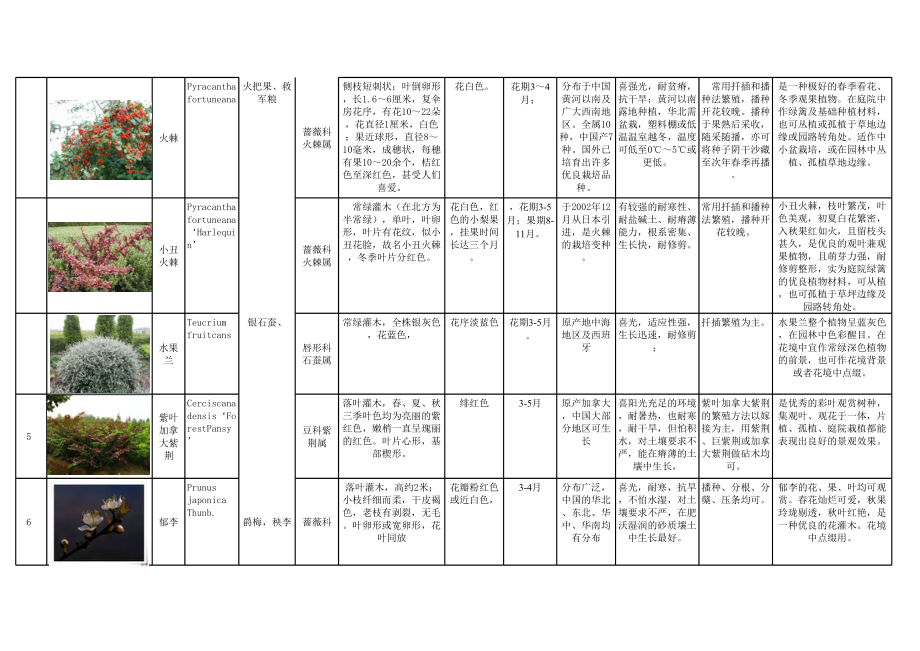 上海常用花境植物分类总结.xls