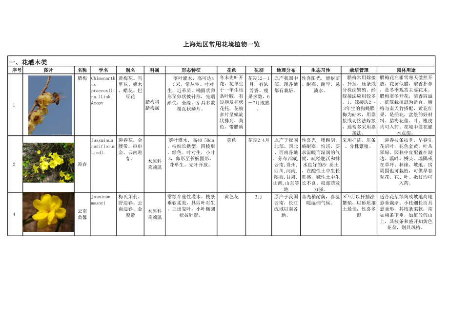 上海常用花境植物分类总结 (2).xls