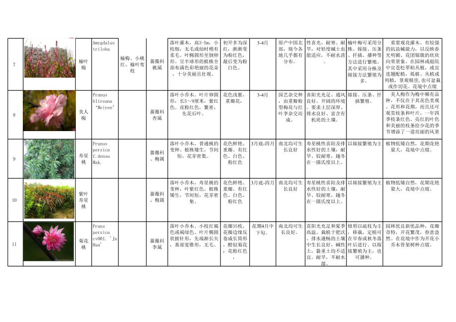 上海常用花境植物分类总结 (2).xls