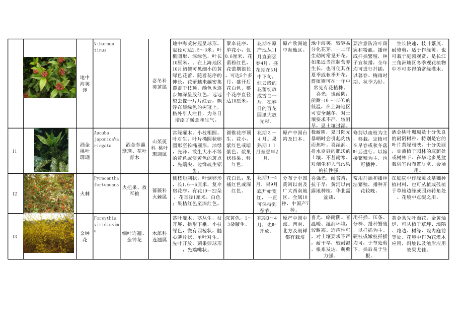 上海常用花境植物分类总结 (2).xls