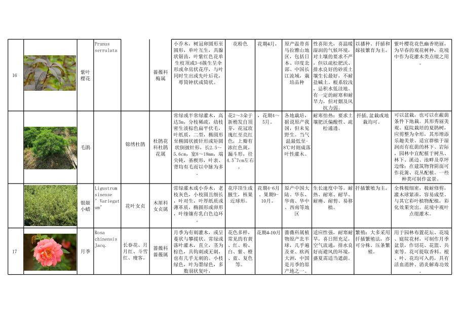 上海常用花境植物分类总结 (2).xls