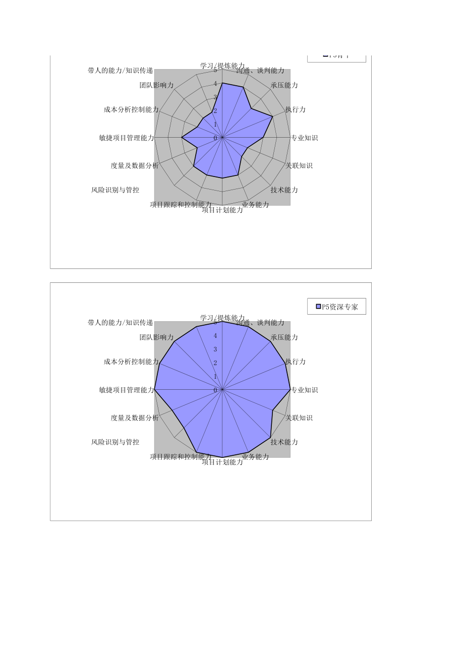 项目经理能力素质模型图.xls