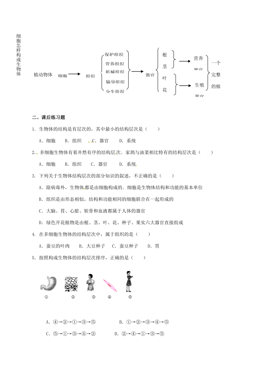 七年级科学上册《2.3生物体的结构层次》教案（新版）浙教版（新版）浙教版初中七年级上册自然科学教案.doc