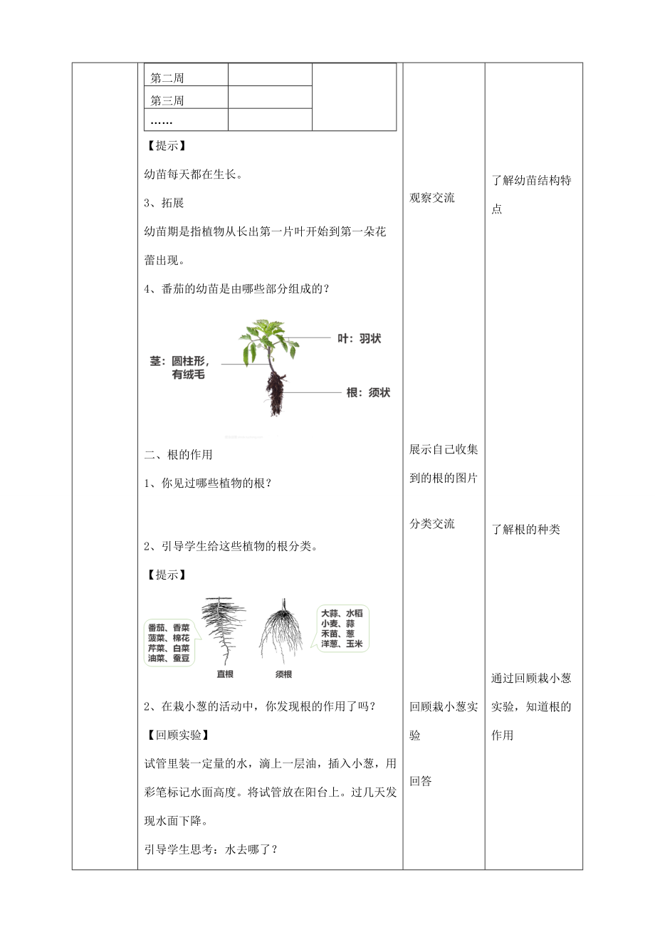 三年级科学下册第一单元植物的一生1.2《幼苗长大了》教学设计苏教版苏教版小学三年级下册自然科学教案.doc