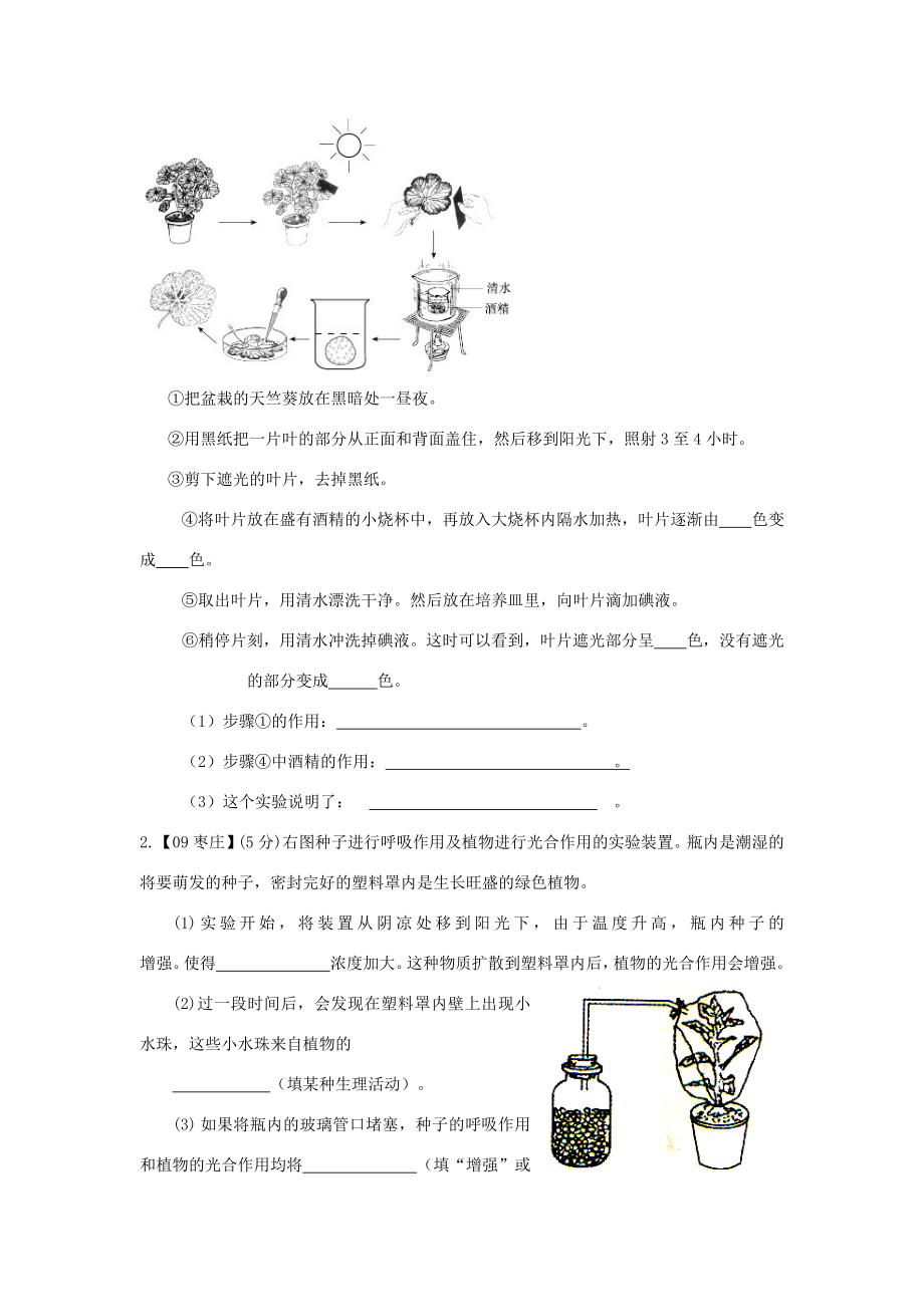 七年级生物上册绿色植物通过光合作用制造有机物复习教案人教新课标版.doc