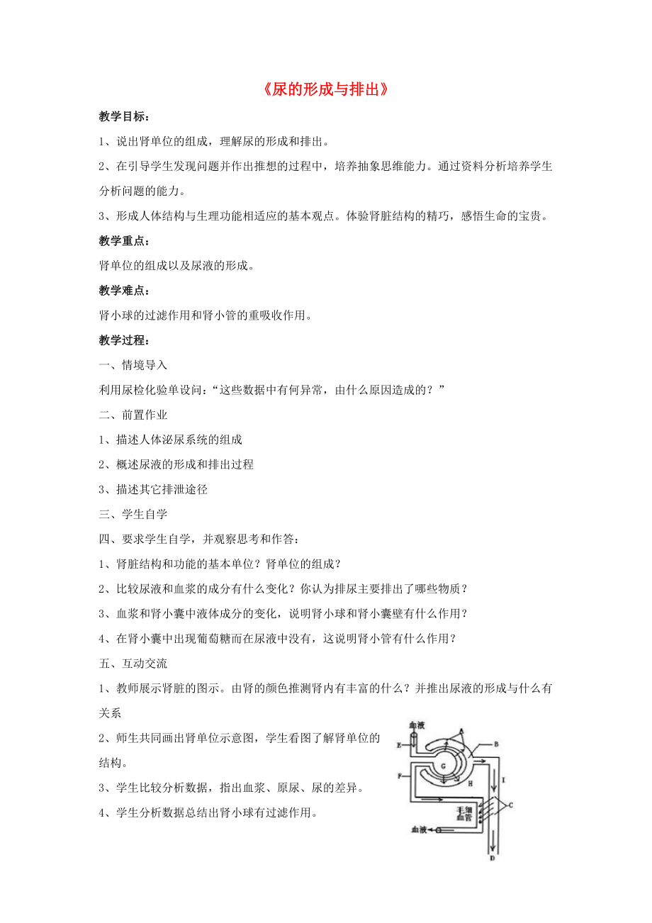 七年级生物下册第11章第二节尿的形成与排出教案1北师大版.doc