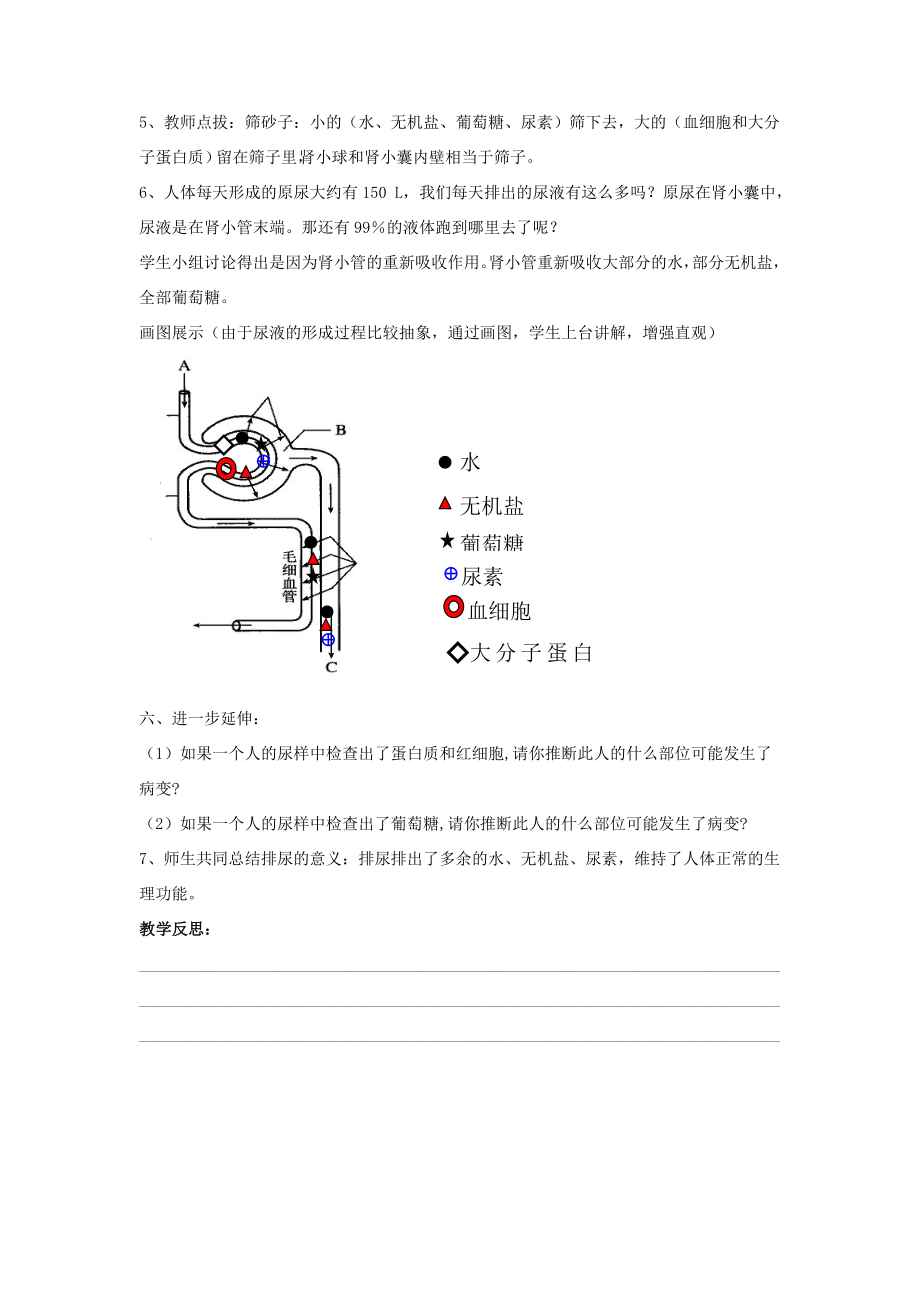 七年级生物下册第11章第二节尿的形成与排出教案1北师大版.doc