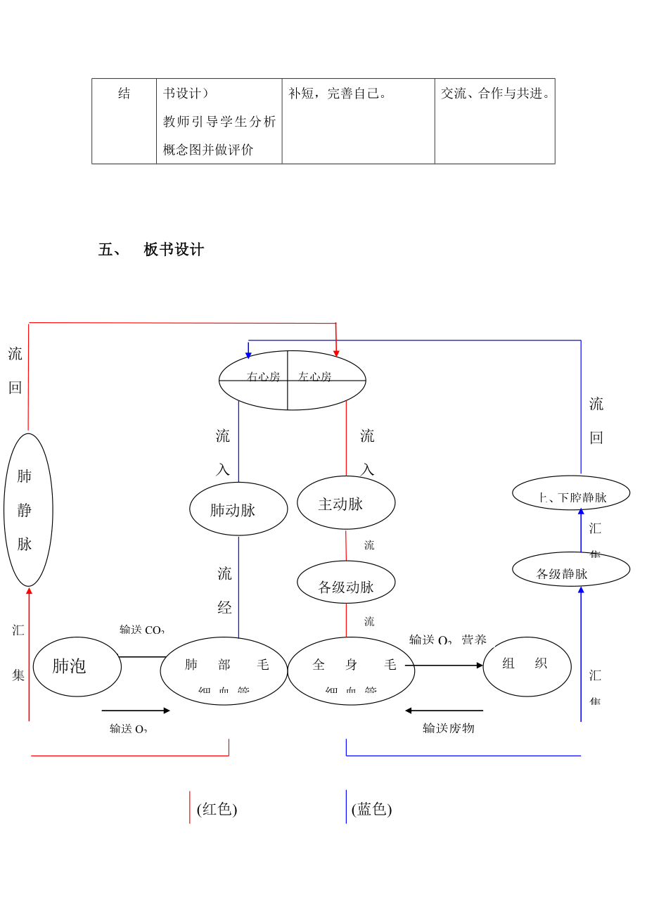 七年级生物《血液循环途径》教学设计苏教.doc