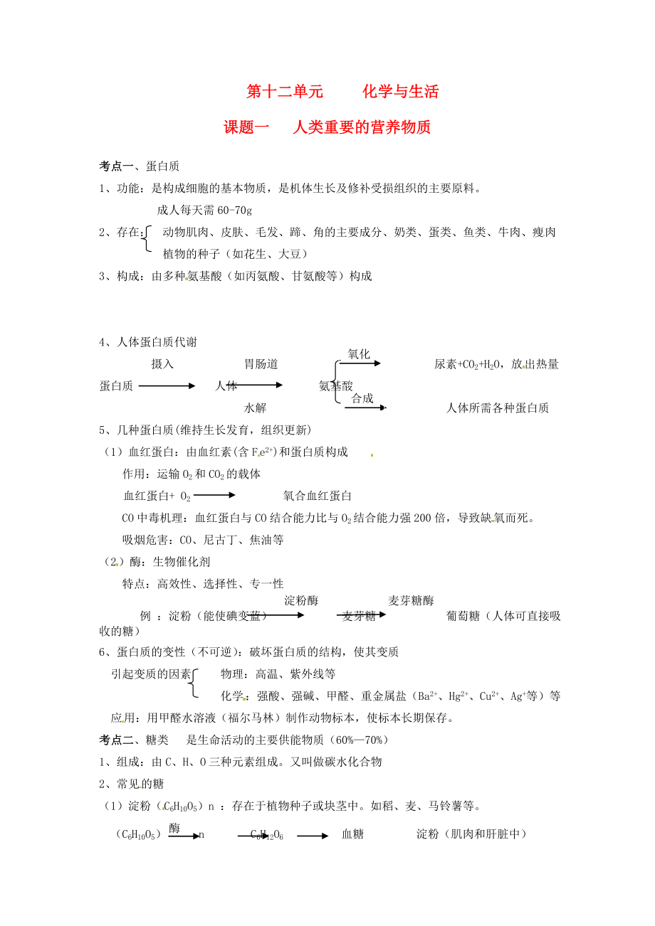 九年级化学下册第十二单元化学与生活《课题一人类重要的营养物质》考点复习教案新人教版.doc