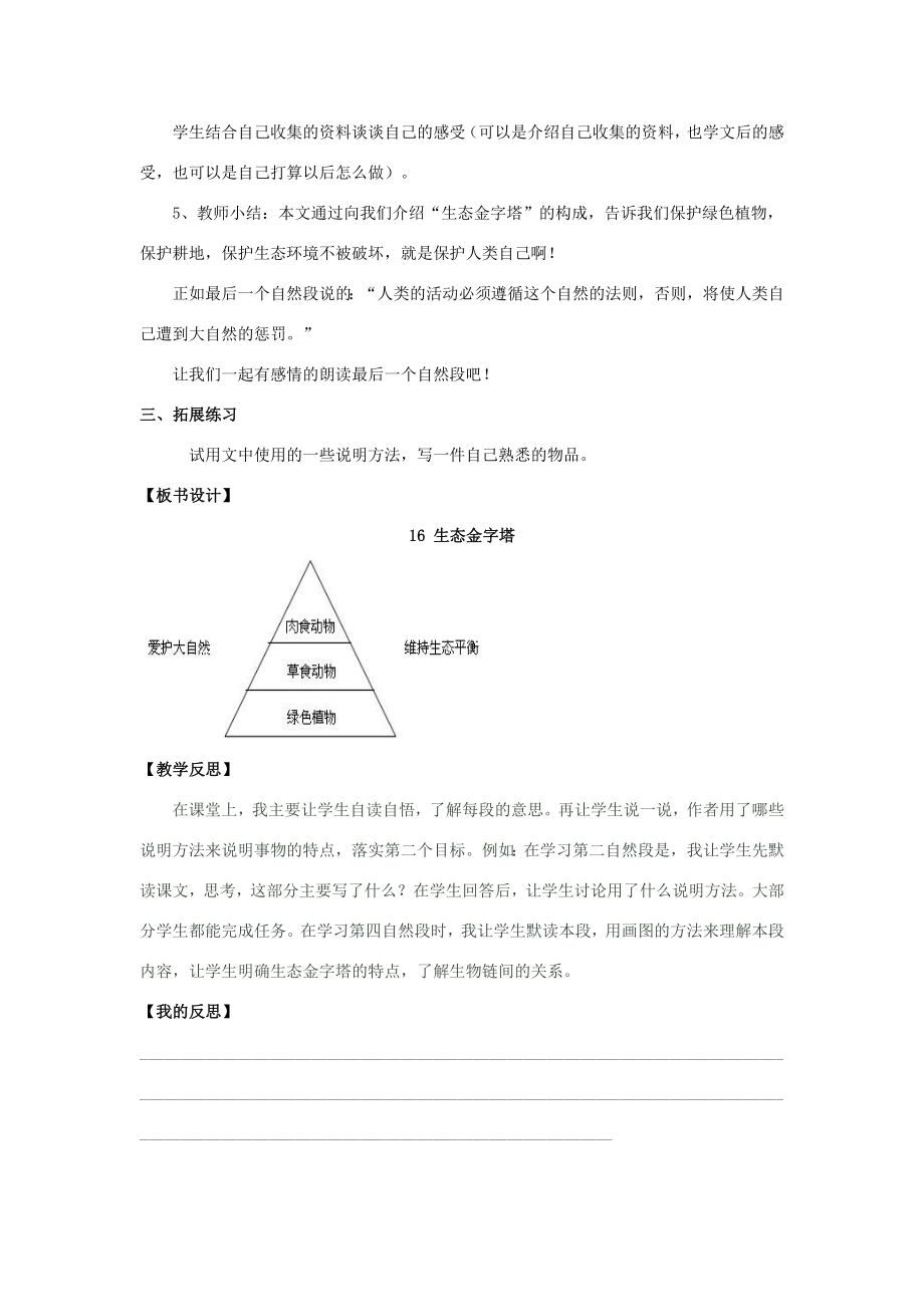 五年级语文上册第五单元16生态金字塔教案湘教版湘教版小学五年级上册语文教案.doc