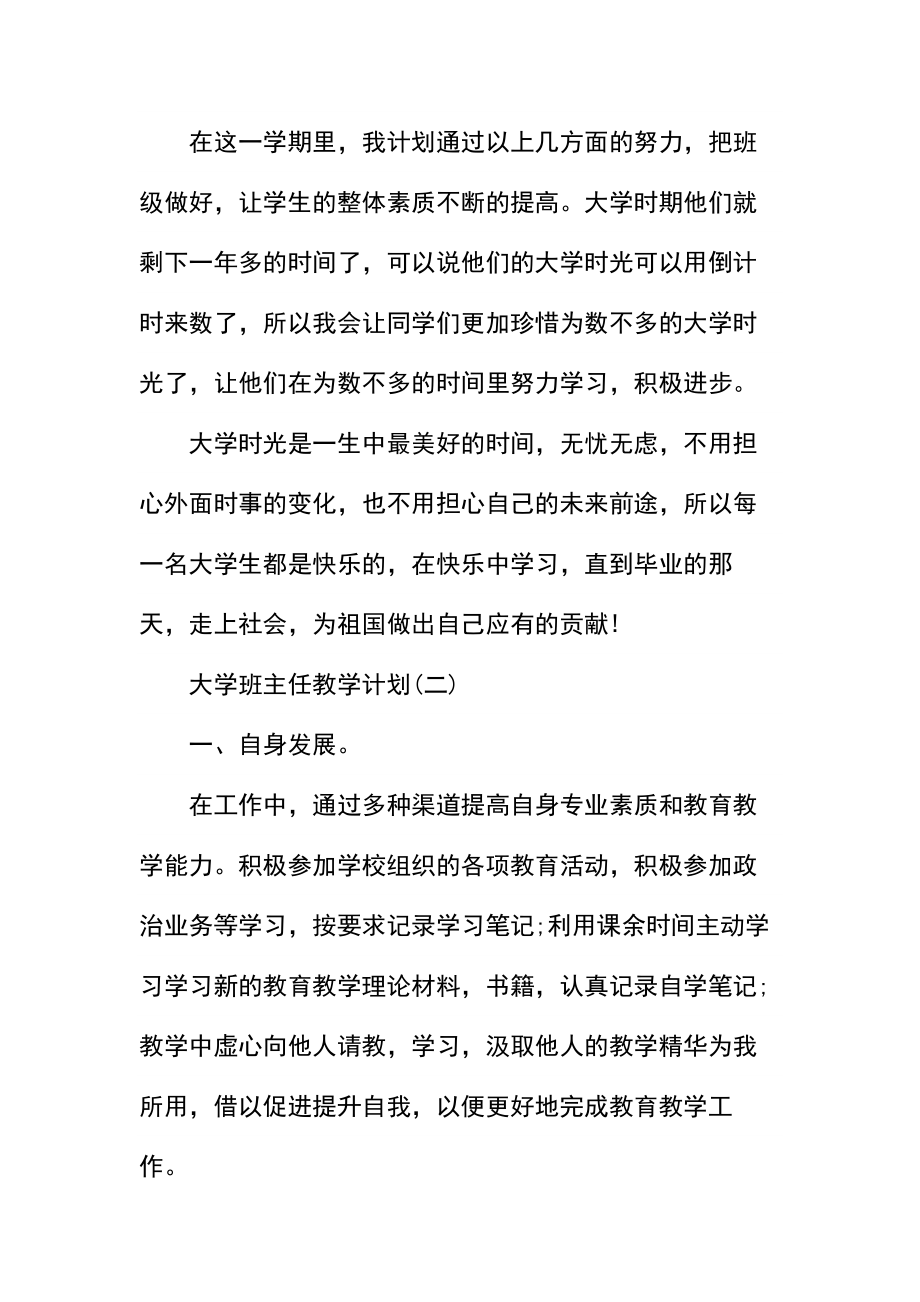 大学班主任教学计划.docx