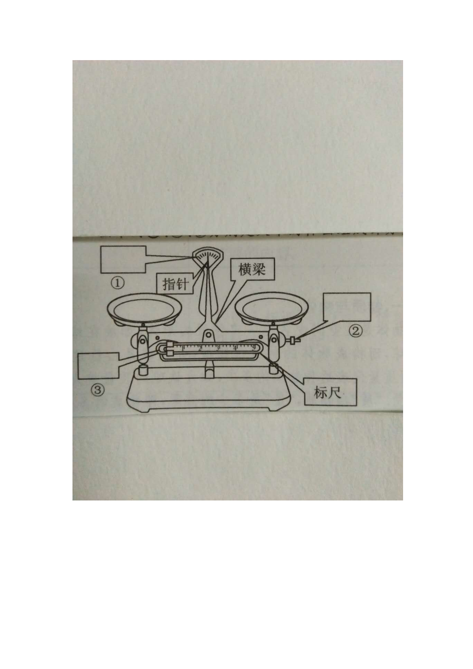 八年级物理质量教学设计.doc