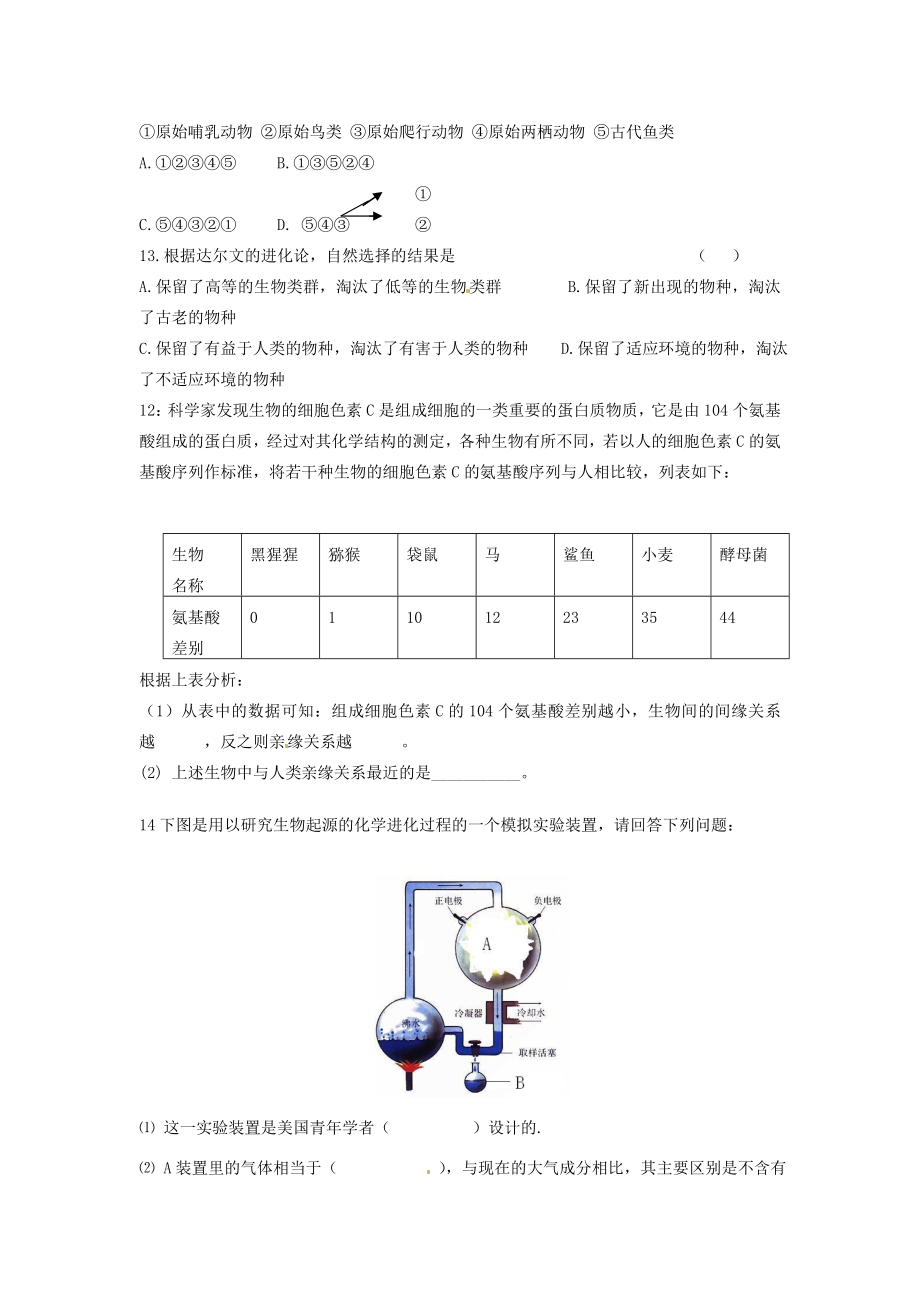 八年级生物下册生物的进化（复习教案）人教版人教版.doc