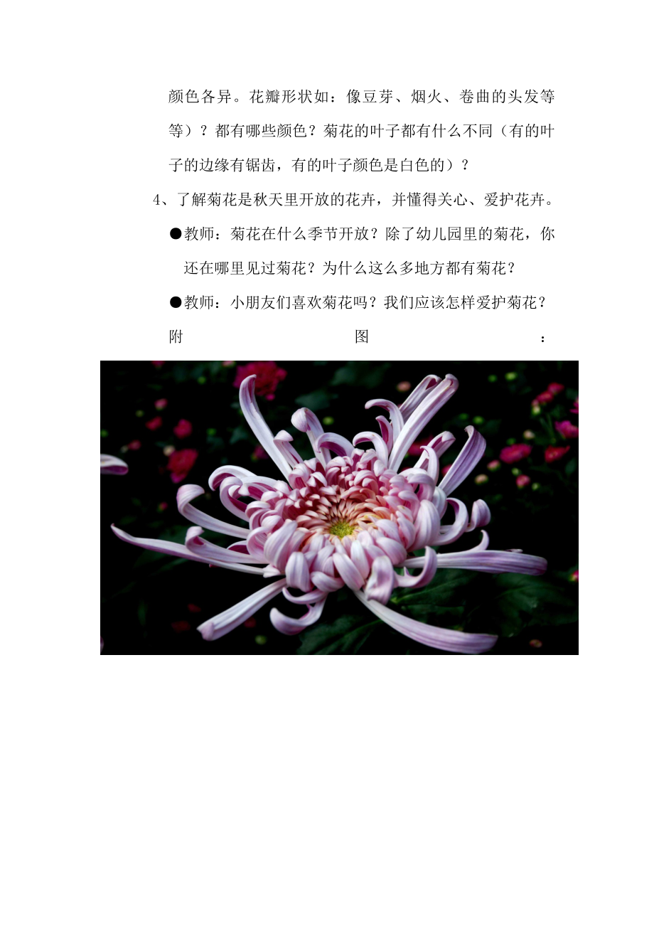 中班科学课《美丽的菊花》教案.doc