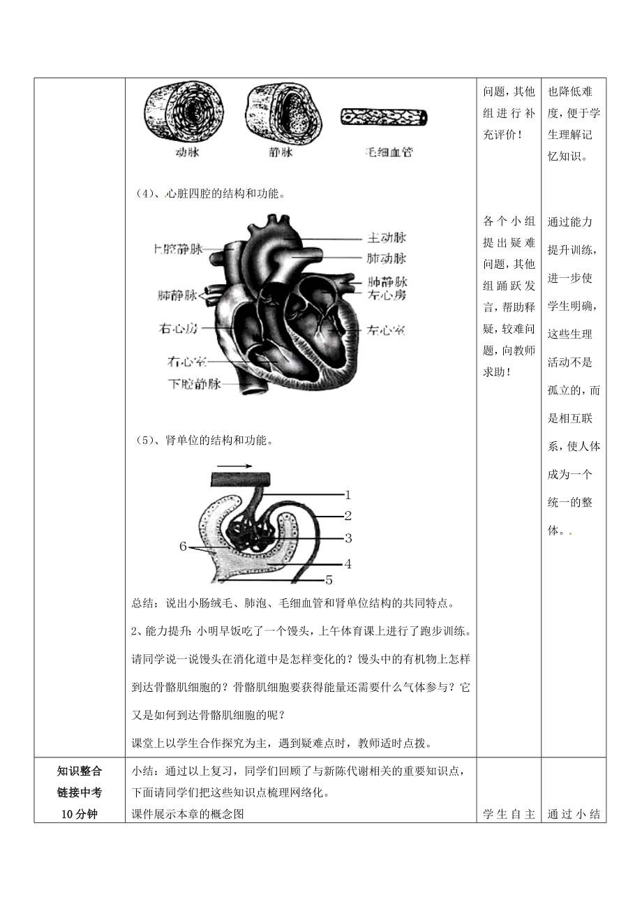 山东省滕州市大坞镇大坞中学七年级生物下册《人体的新陈代谢》教案济南版.doc