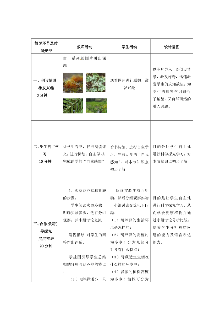 山东省枣庄市第四十二中学秋七年级生物上册《11绿色植物的主要类群》教案新人教版.doc