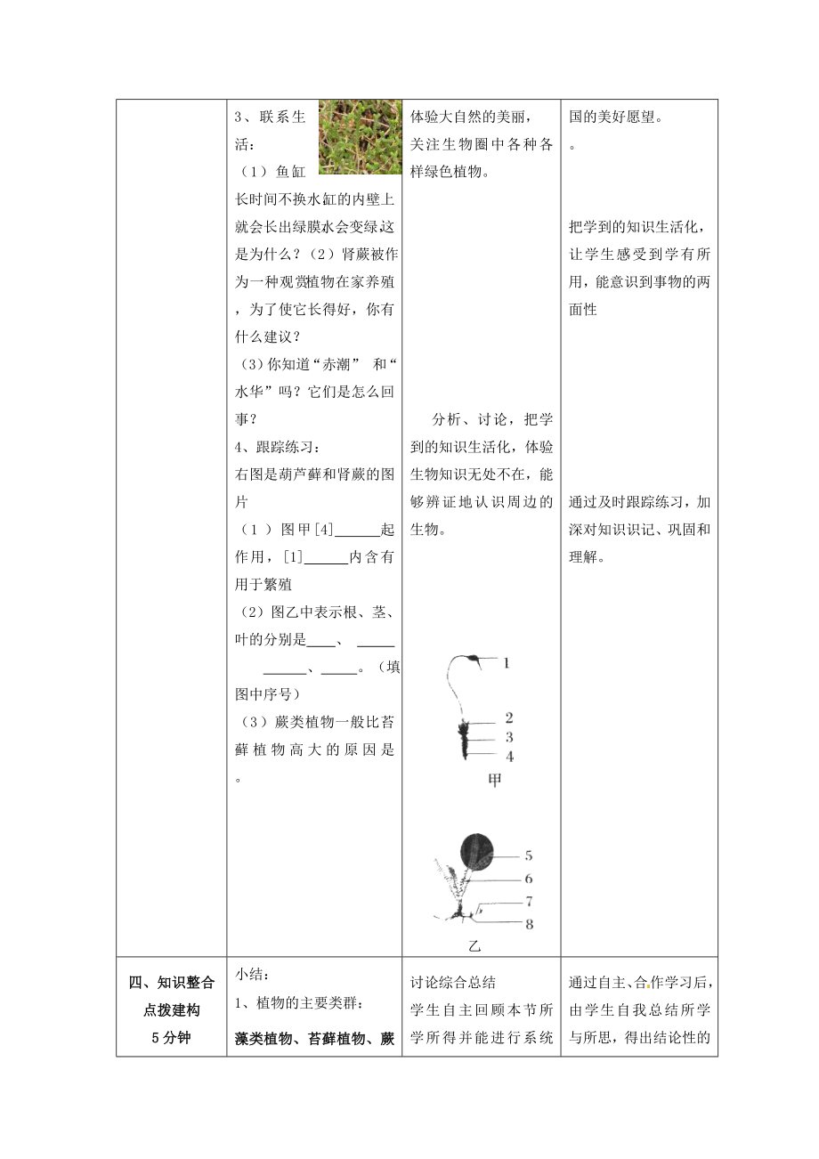 山东省枣庄市第四十二中学秋七年级生物上册《11绿色植物的主要类群》教案新人教版.doc