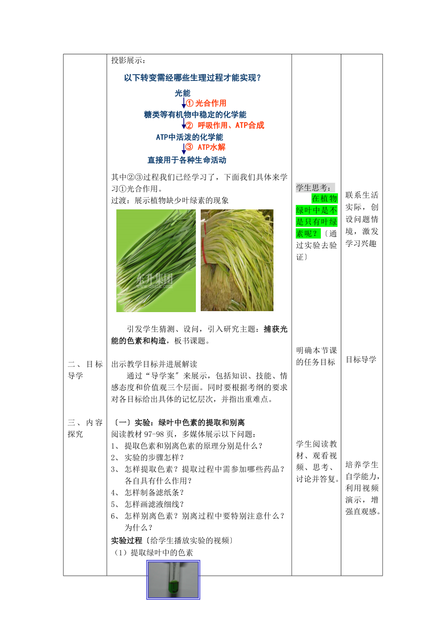 山东省枣庄市第八中学高中生物5.4.1捕获光能的色素和结构教案新人教版必修1.doc