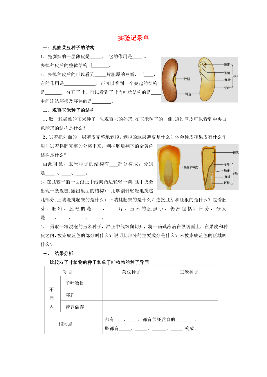 山东省枣庄市峄城区吴林街道中学八年级生物上册第四单元第一章第三节实验记录单教案济南版(2).doc