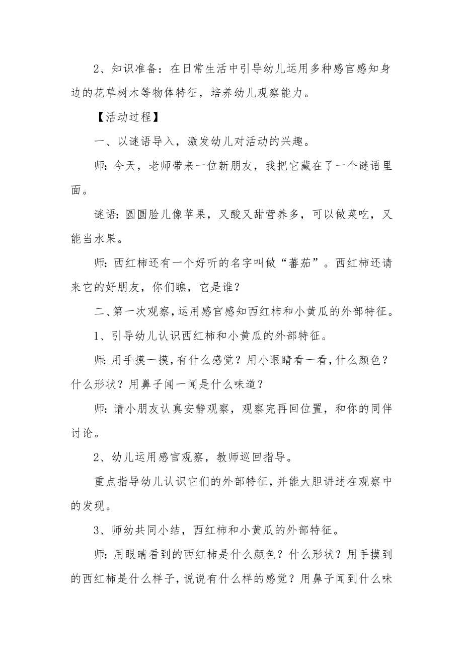 幼儿园小班科学教案《西红柿和小黄瓜》.docx