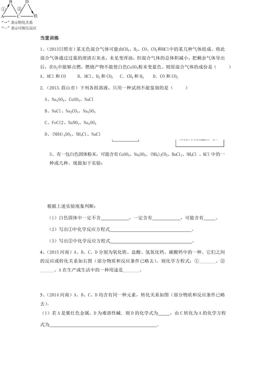 河南省商水县张明一中中考化学专题复习第1课时物质的检验、推断教案人教版初中九年级全册化学教案.doc