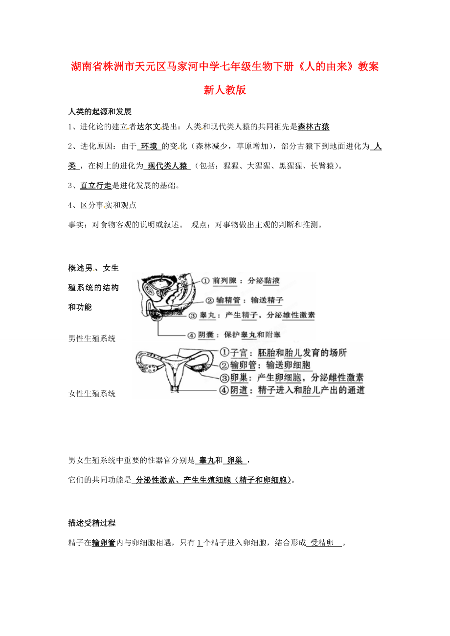 湖南省株洲市天元区马家河中学七年级生物下册《人的由来》教案新人教版.doc