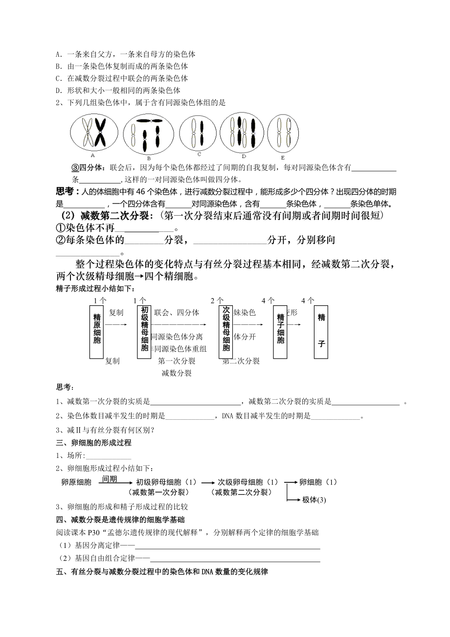 高中减数分裂和受精作用复习学案教案.doc