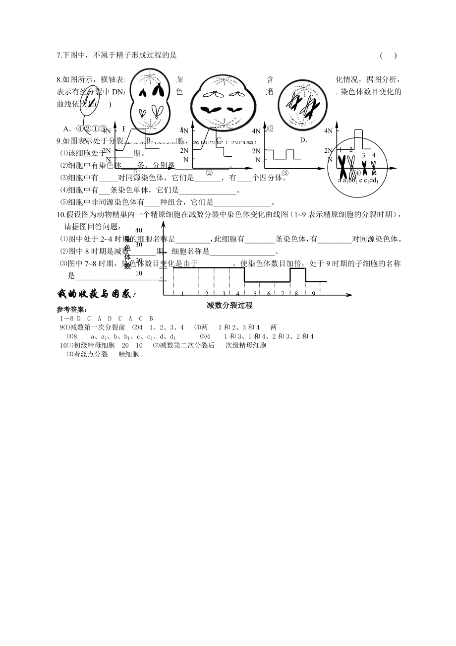 高中减数分裂和受精作用复习学案教案.doc