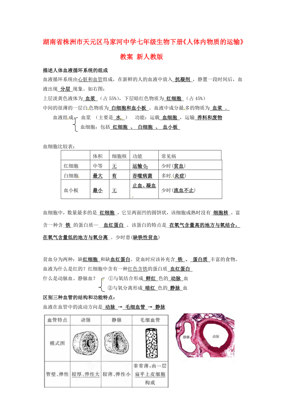 湖南省株洲市天元区马家河中学七年级生物下册《人体内物质的运输》教案新人教版.doc